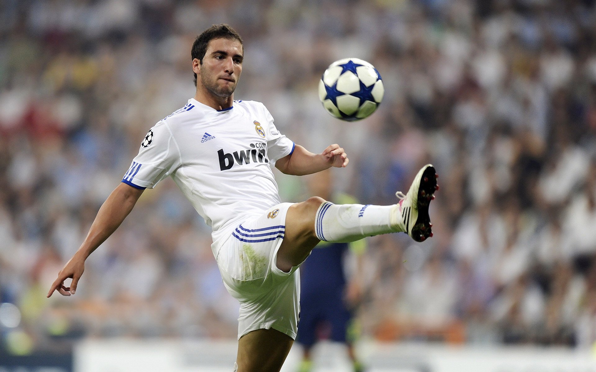 蝶泳赛场中立代表队A选手爆发力强，蝶泳 比赛