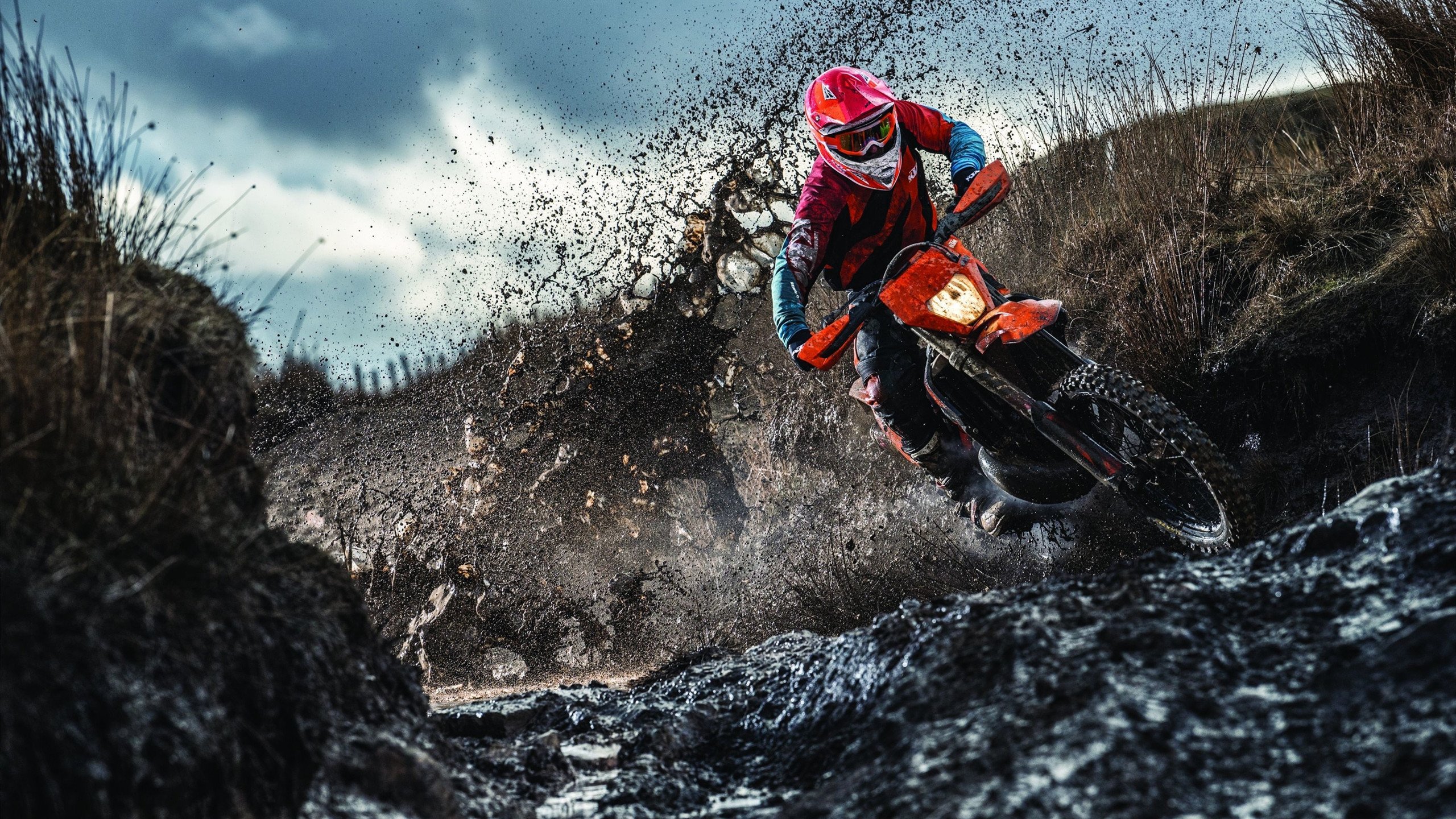 公牛主帅赞扬球队训练态度积极主动，公牛队介绍