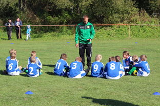 九游体育网站入口-欧洲杯逆转奇迹：战术配合与个人能力的完美呈现，欧洲杯逆天进球